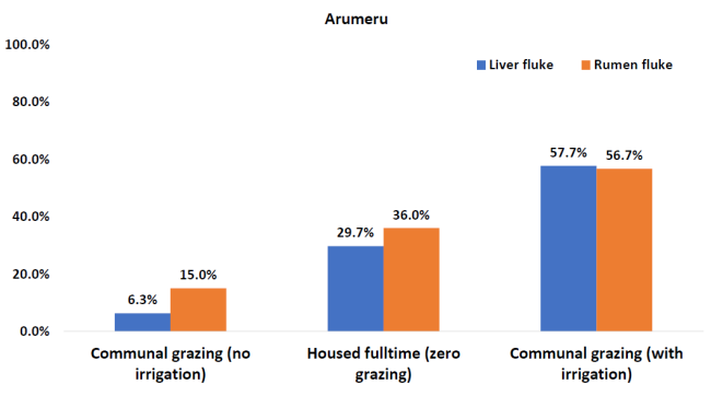 graph showing liver and rumen fluke prevalence in irrigated, non-irrigated and housed cattle management systems